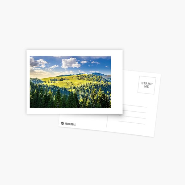 coniferous forest on the hill Postcard