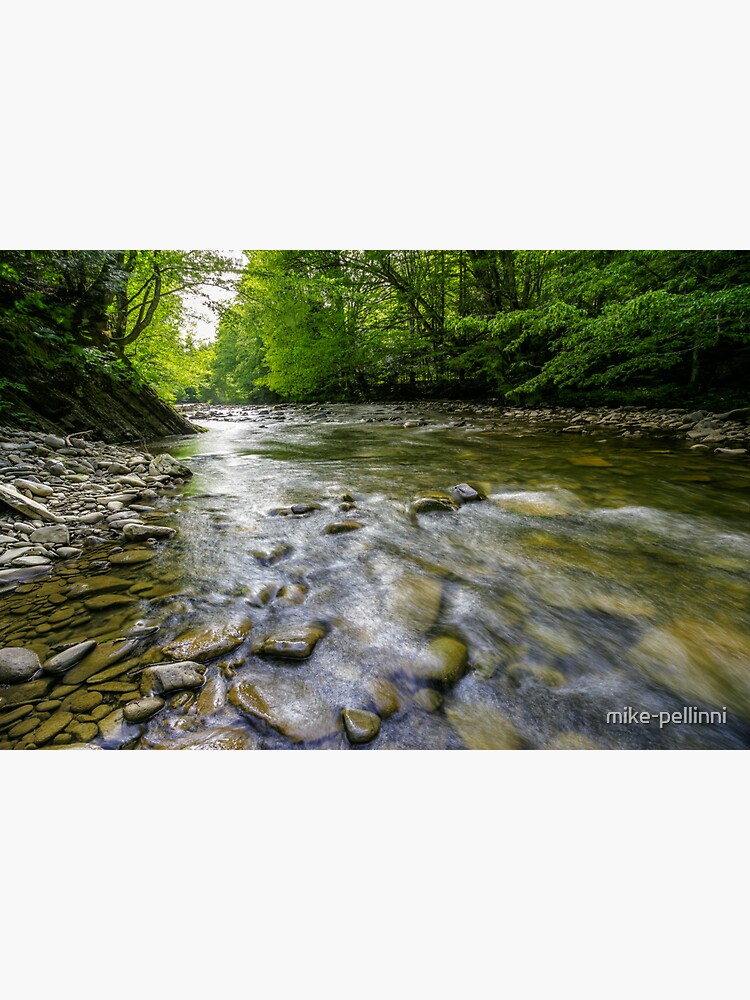 river with stones on shores anmong the forest by mike-pellinni