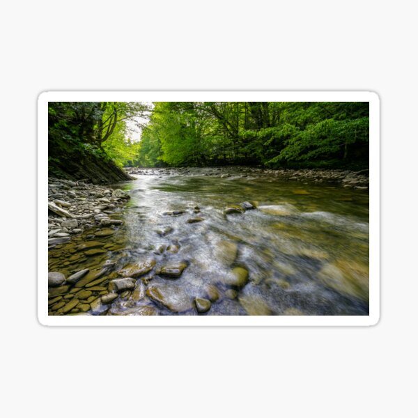 river with stones on shores anmong the forest Sticker