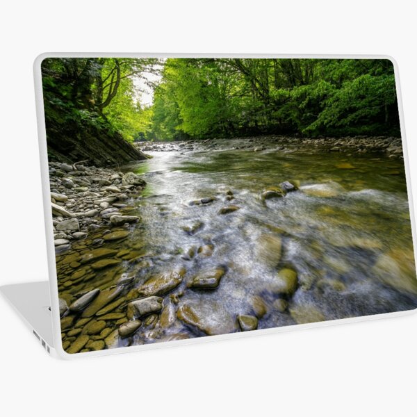 river with stones on shores anmong the forest Laptop Skin