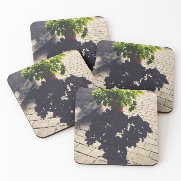 Item preview, Shadow Plant designed and sold by foojer.