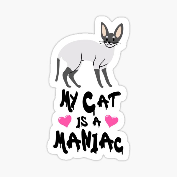 Lovely Cute Kitty Sticker - Sticker Mania