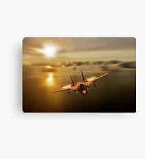 Tomcat Tomcat Canvas Print