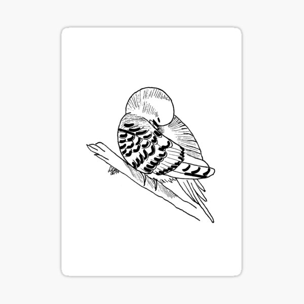 Budgerigar black - white Sticker