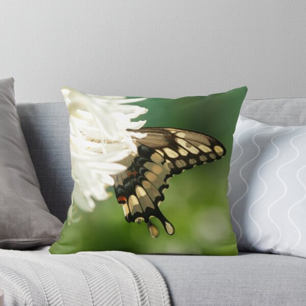 Item preview, butterfly, flower photography designed and sold by SammyPhoto.