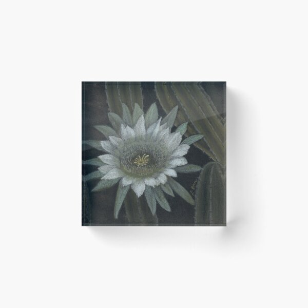 Item preview, White Cactus flower designed and sold by Lynn Brice.