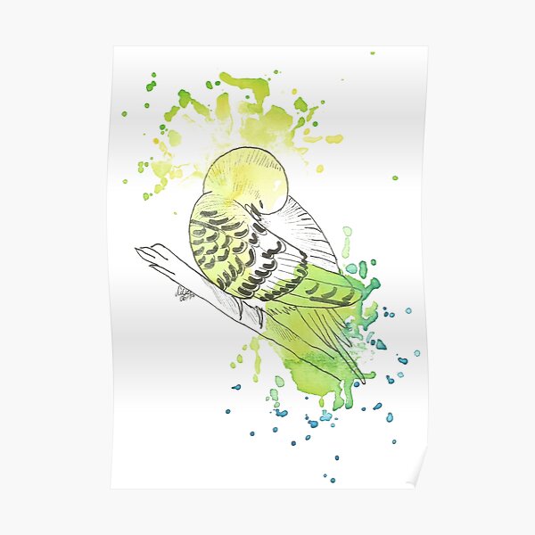 Wellensittich - Aquarell Poster