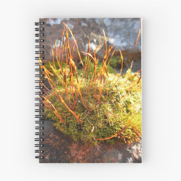 Item preview, Budding Moss designed and sold by Chris Gudger.