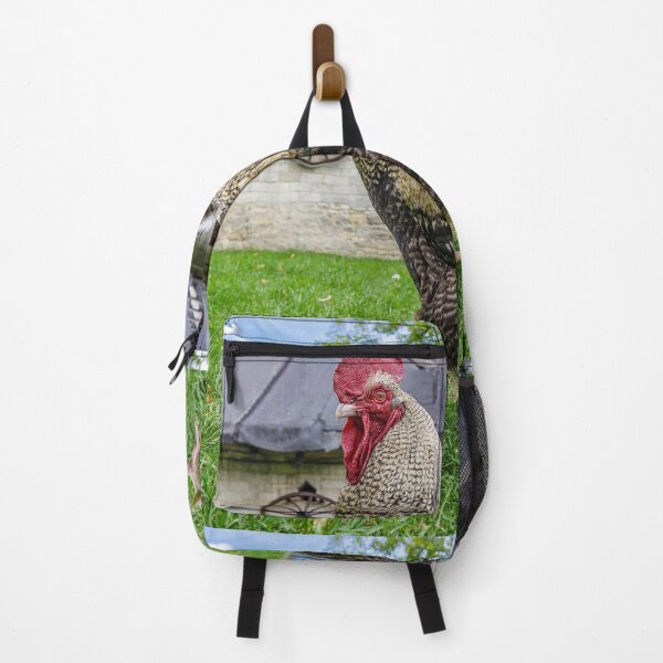 Item preview, Rooster on country backyard designed and sold by Lukasz Szczepanski.