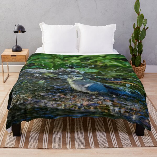 Item preview, A wet tit with bath company. Eurasian blue tit designed and sold by Jouko Lehto Photography.