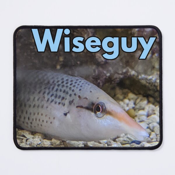 Item preview, Wise designed and sold by Molespignoses.