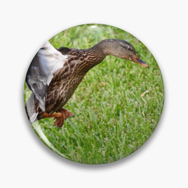 Item preview, Mallard Duck Cleared for Landing designed and sold by richardbryce.