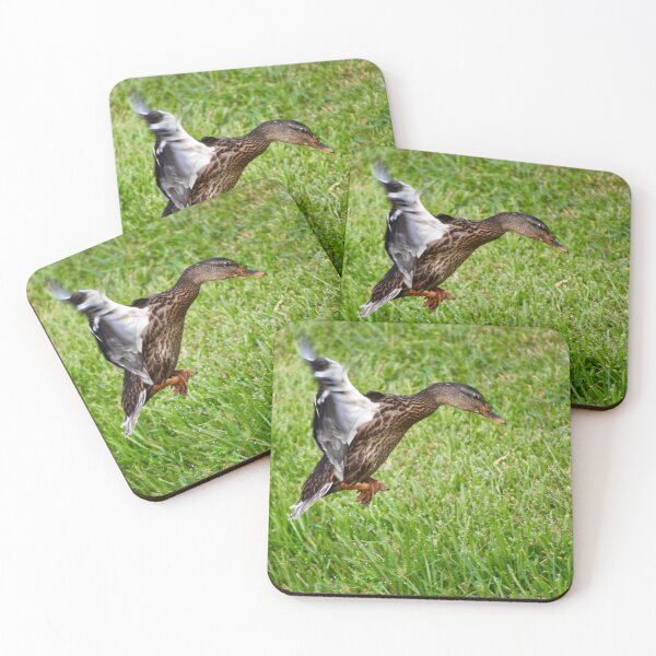 Item preview, Mallard Duck Cleared for Landing designed and sold by richardbryce.