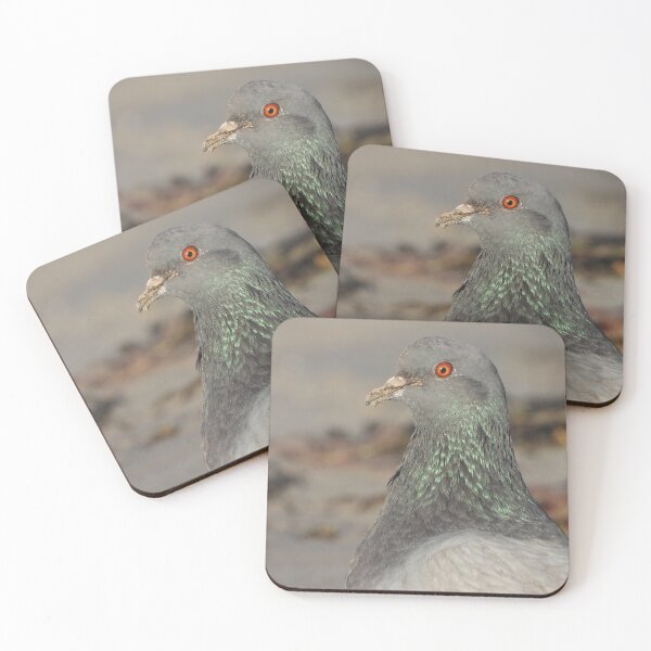 Item preview, Portrait of a common pigeon designed and sold by Sintija Valucka.