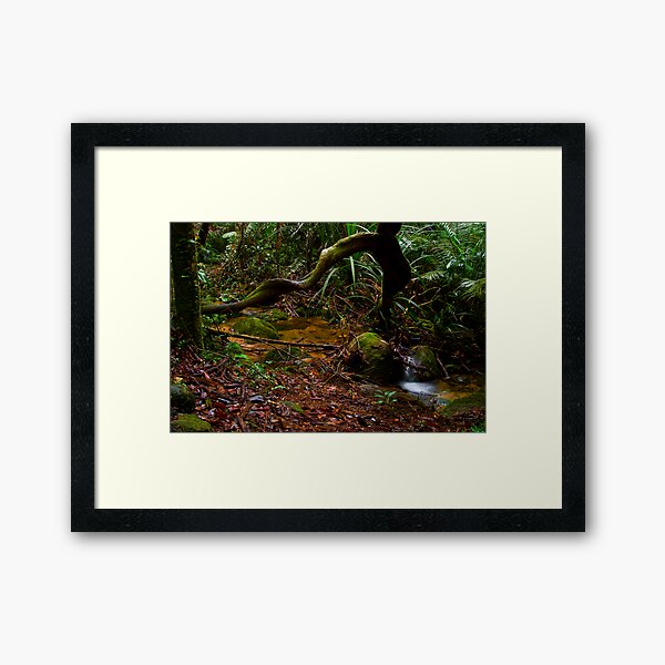 Item preview, Images of the Tropical Far North Queensland pic 41 designed and sold by Tony Lin.