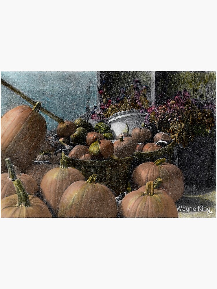 Longview Farm Pumpkins and Flowers by waynedking
