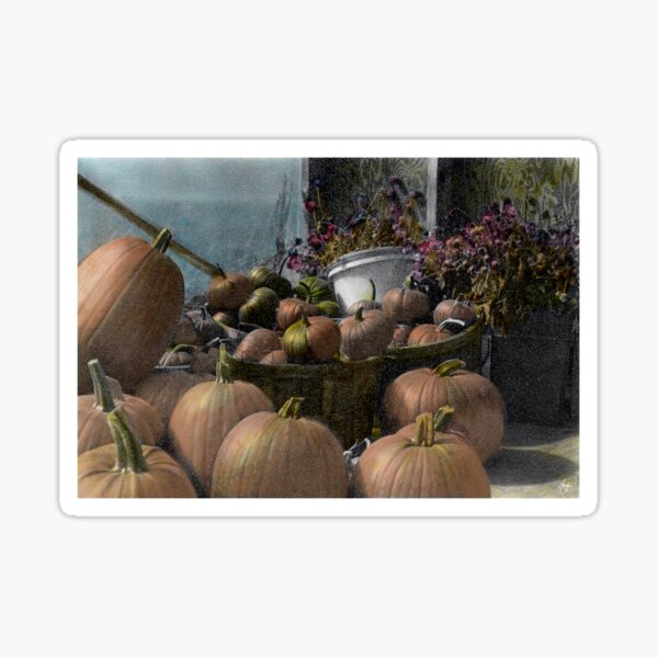 Longview Farm Pumpkins and Flowers Sticker