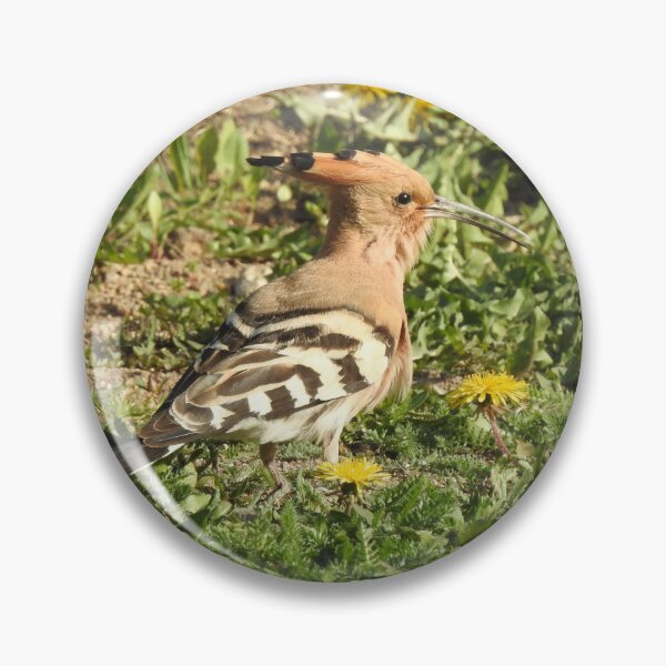 Item preview, Eurasian hoopoe - Upupa epops designed and sold by Sintija Valucka.