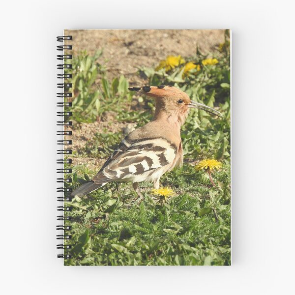 Item preview, Eurasian hoopoe - Upupa epops designed and sold by Sintija Valucka.