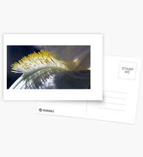 Soft Brush Postcards