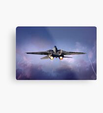 Tomcat Takes Flight Metal Print