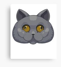 Lienzo British Shorthair