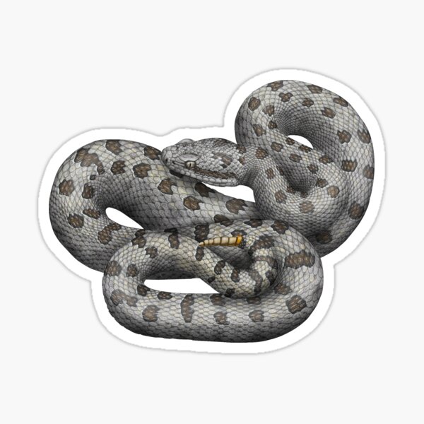 Item preview, Twin-Spotted Rattlesnake designed and sold by CatchItCreation.