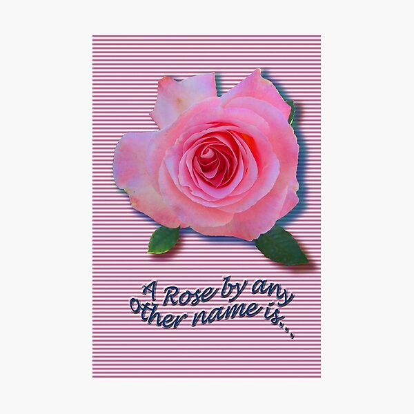 MY LOVE 4 YOU Photographic Print