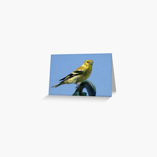 Goldfinch (Card) Greeting Card