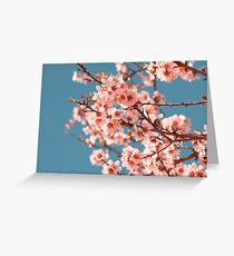 Pink Flowers Blooming Peach Tree at Spring Greeting Card