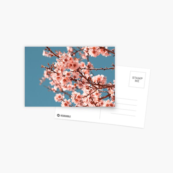 Item preview, Pink Flowers Blooming Peach Tree at Spring designed and sold by dvoevnore.