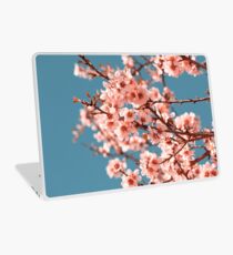 Vinilo para portátil Flores rosadas Blooming melocotonero en primavera