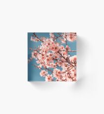 Pink Flowers Blooming Peach Tree at Spring Acrylic Block