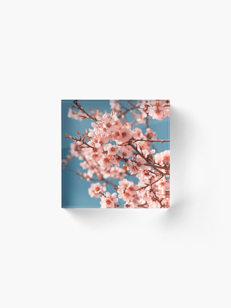 Alternate view of Pink Flowers Blooming Peach Tree at Spring Acrylic Block
