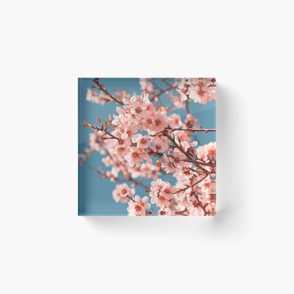 Pink Flowers Blooming Peach Tree at Spring Acrylic Block
