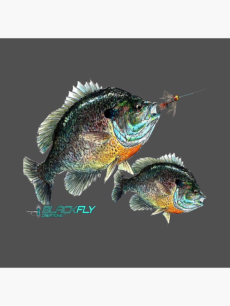 Pin on Fishing shirts