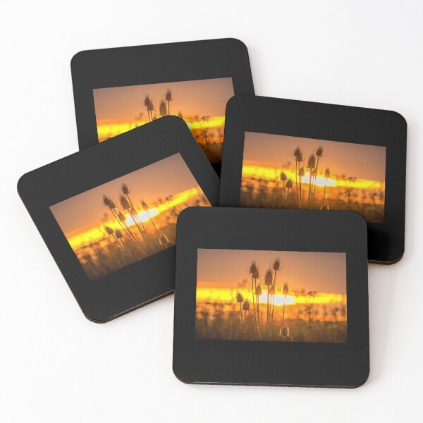 Item preview, Thistles at sunset Poster designed and sold by agardvajdam.