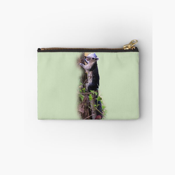 Item preview, Black giant squirrel, Khao Yai national park, Thailand designed and sold by indiafrankk.