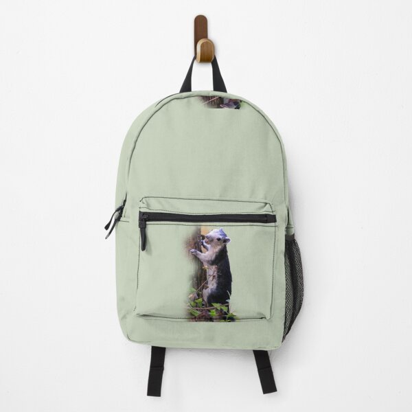 Item preview, Black giant squirrel, Khao Yai national park, Thailand designed and sold by indiafrankk.