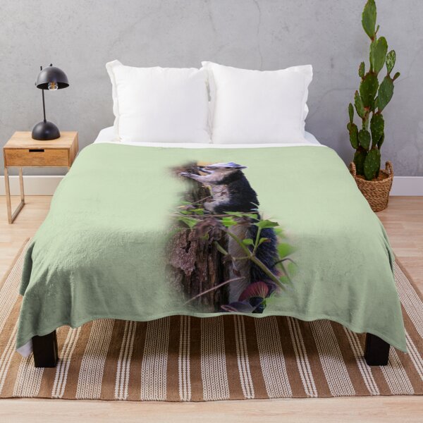 Item preview, Black giant squirrel, Khao Yai national park, Thailand designed and sold by indiafrankk.