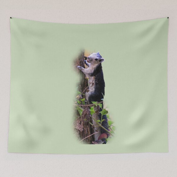 Item preview, Black giant squirrel, Khao Yai national park, Thailand designed and sold by indiafrankk.