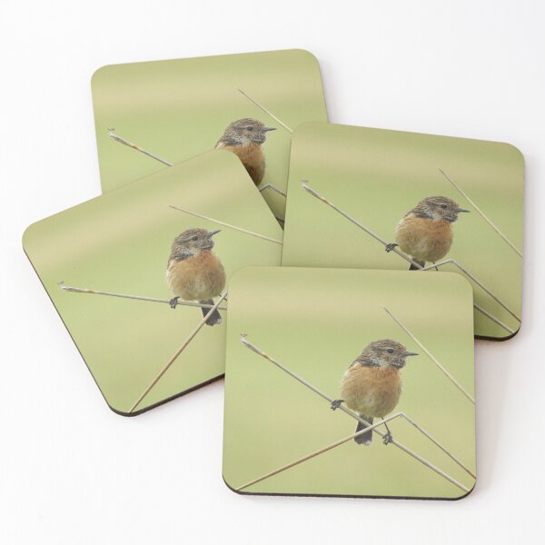 Item preview, Female Stonechat perching on bare stem designed and sold by TwistedClassics.