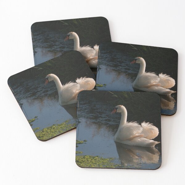 Item preview, Evening Swan. designed and sold by GingerMan2550.