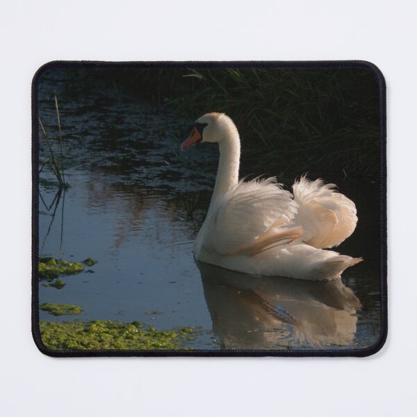 Item preview, Evening Swan. designed and sold by GingerMan2550.