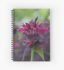 Bee mine_Monarda bee balm Spiral Notebook