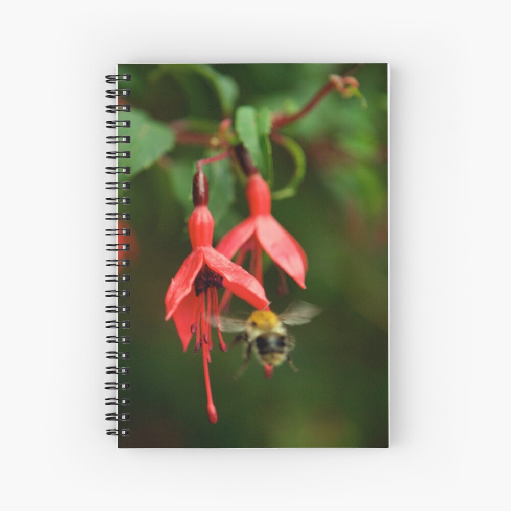 Fuchsia at Loch Na Fooey (wide) Spiral Notebook