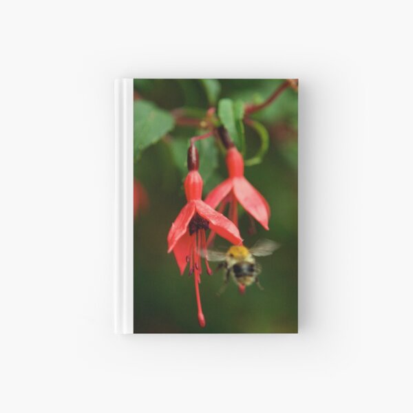 Fuchsia at Loch Na Fooey (wide) Hardcover Journal