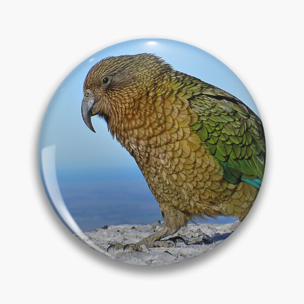 Item preview, Kea, New Zealand Parrot designed and sold by oli-ml.