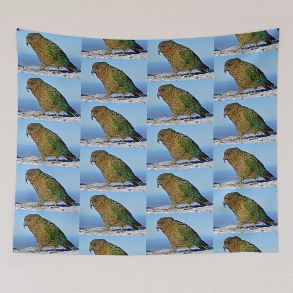 Item preview, Kea, New Zealand Parrot designed and sold by oli-ml.