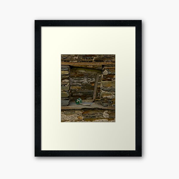 Power in the Ruin Framed Art Print